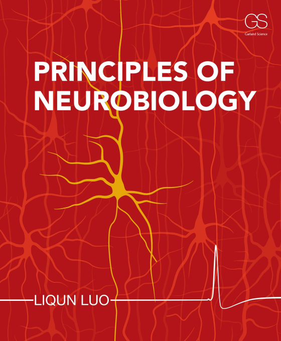 Principles of Neurobiology Cover